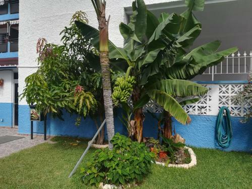 Apartamento Acogedor Estudio Con Piscina Y Cerca de La Playa