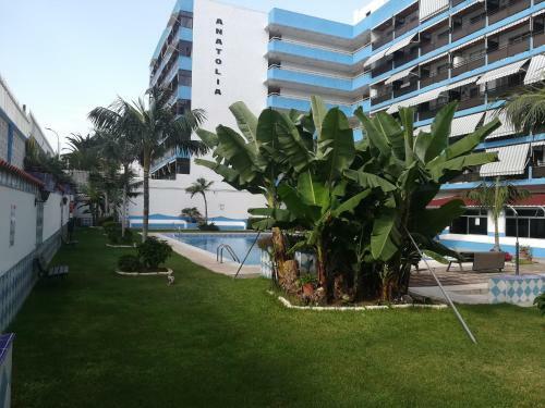 Apartamento Acogedor Estudio Con Piscina Y Cerca de La Playa