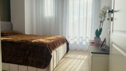 Proper Central Apartment