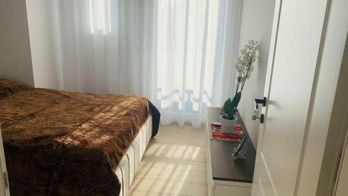 Proper Central Apartment
