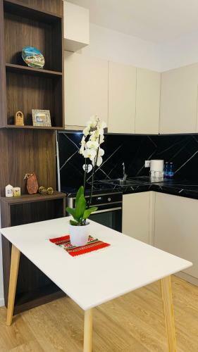 Proper Central Apartment