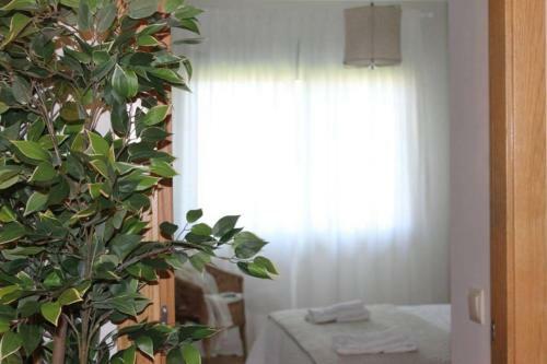 Apartamento Riomar