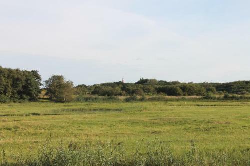 Apartamento Bosch Duin Strand