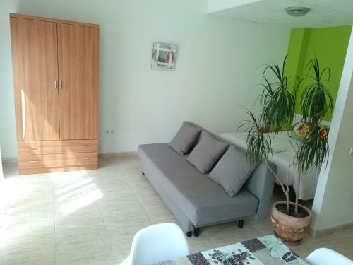 Apartamento Estudio En El Centro 0