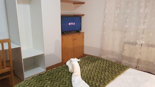 Apartamento Shalom