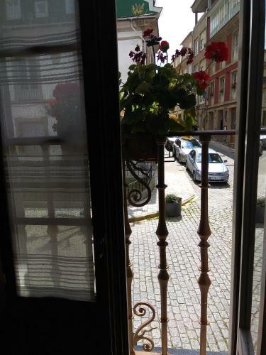 Apartamento Cine Col�n