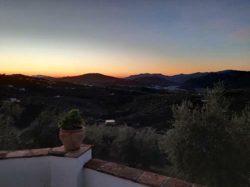 Gusta La Vista