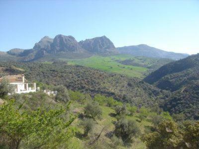 Villa Cortijo Cuscurro
