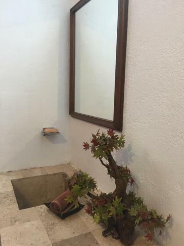 Bed & Breakfast Residence Las Trojes Cdmx