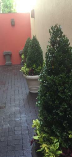 Bed & Breakfast Residence Las Trojes Cdmx