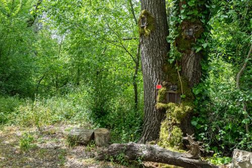 Apartamento L'hort De Les Irles