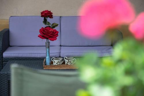 Apartamento L'hort De Les Irles