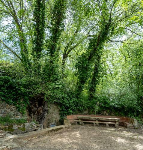 Apartamento L'hort De Les Irles