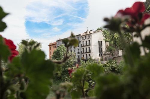 Apartamento Raval De Ripoll