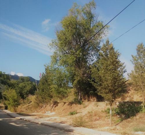 Casa Rural El Cerrete 2