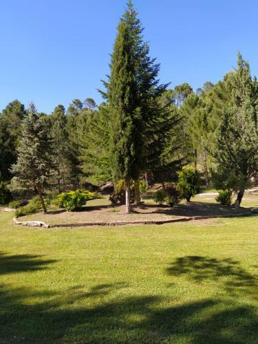 El Rinc�n De Mar�a.