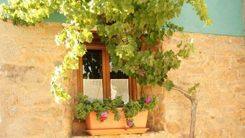 Agroturismo Casa Rural Gistredo