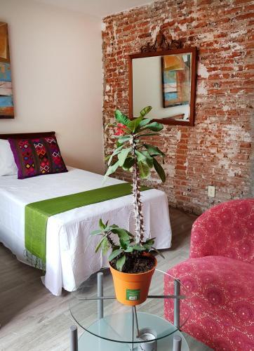 Hostal Habitaciones Coyoacan (unam)