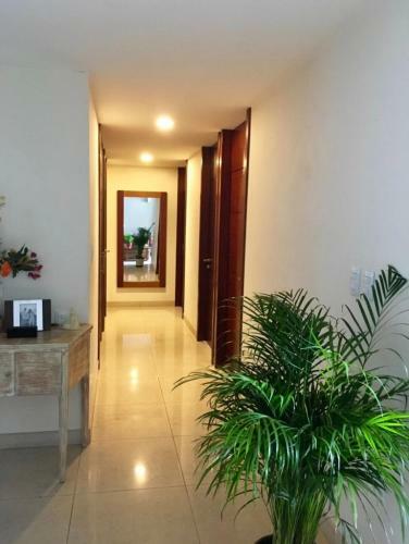 Habitaci�n En Polanco