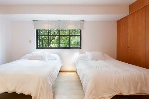 Lovely Apartment Ahuehuetes