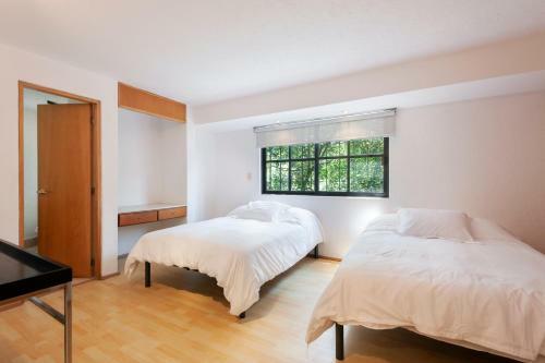 Lovely Apartment Ahuehuetes