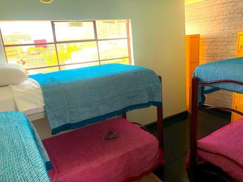 Hostal Casa Eufemia Hostel Type
