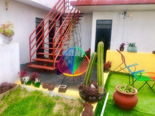 Hostal Casa Eufemia Hostel Type