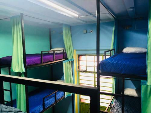 Hostal Moma Mexhostel