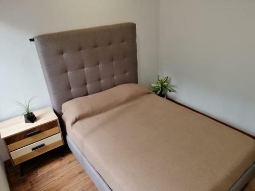 Hostal Nejapa Irrigaci�n