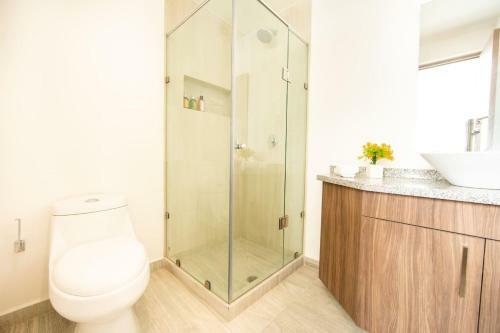 Bright Stylish Apartment Near Polanco