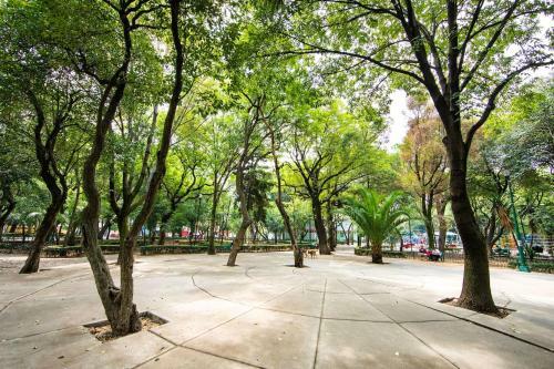 Bright Stylish Apartment Near Polanco