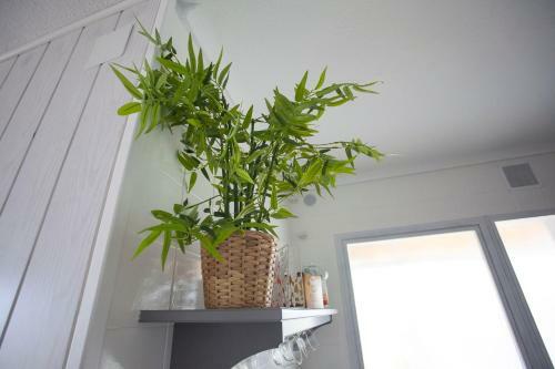 Apartamento Valhalla Rinc�n