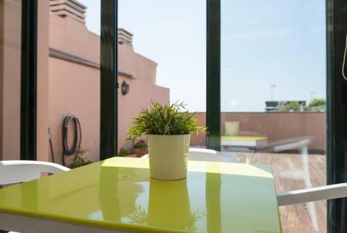 Apartamento Penthouse Rinc�n