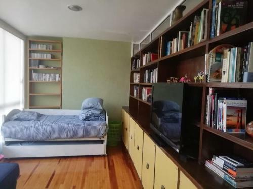 Big,sunny, 2-3 Apartment In Best Location