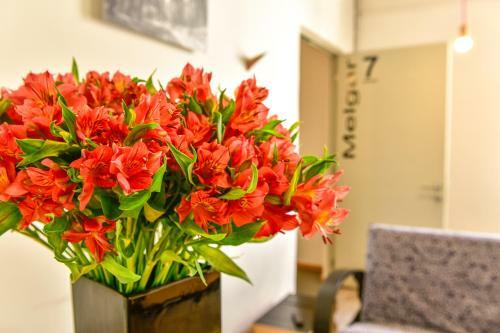 Hostal Casa Melgar