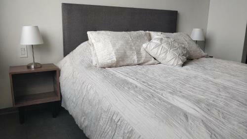 Apartamento Beautifully Appointed 1br Polanco