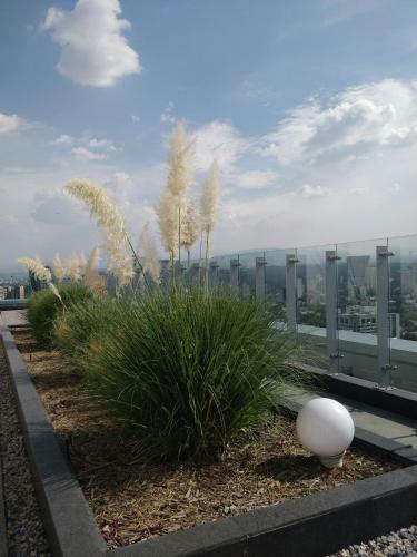 Apartamento Beautifully Appointed 1br Polanco