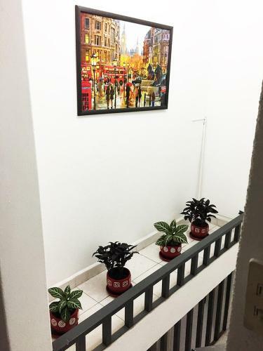 Hostal Terraza Tlalpan-acoxpa
