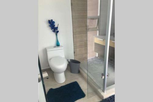 Apartamento Espectacular Loft En Ph Zona Polanco D