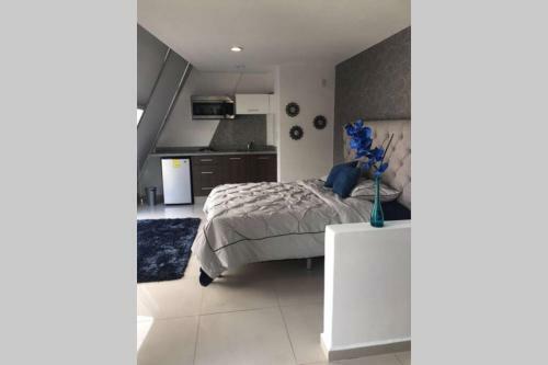 Apartamento Espectacular Loft En Ph Zona Polanco D