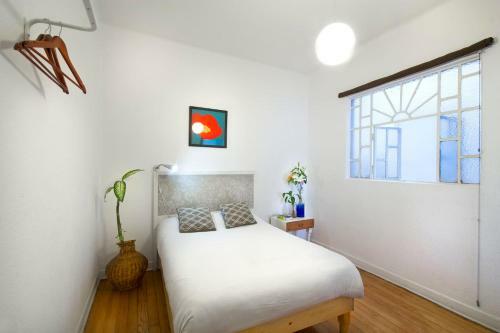 Casa Azul For Groups Since 4 Till 30 Persons