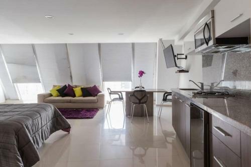 Apartamento Increible Loft En Ph Zona Polanco B