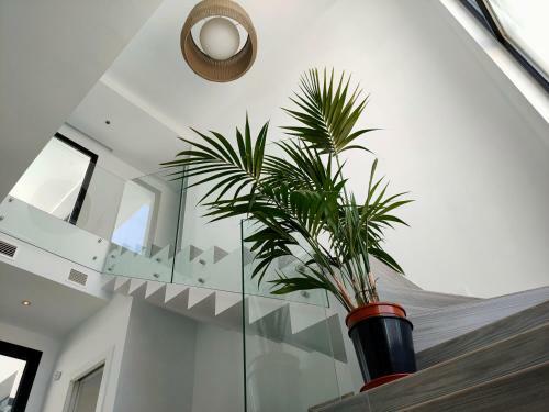 Villa Chalet Con Piscina Spa, Jardin Y Cancha de Basket