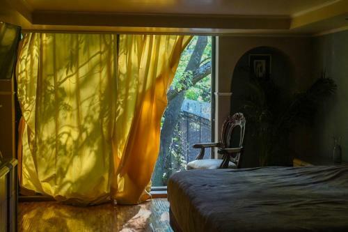 Bed & Breakfast Casa Lul� Coyoac�n
