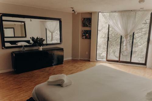 Bed & Breakfast Casa Lul� Coyoac�n