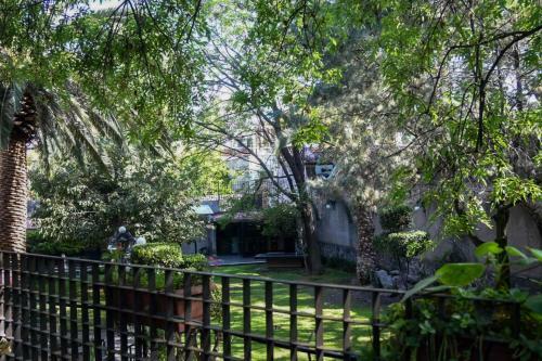 Bed & Breakfast Casa Lul� Coyoac�n