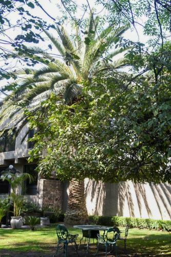 Bed & Breakfast Casa Lul� Coyoac�n