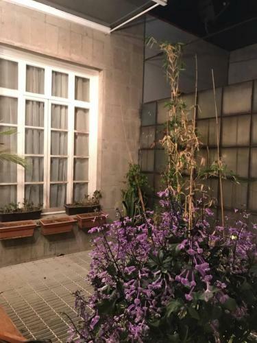 Hostal Casa Turin