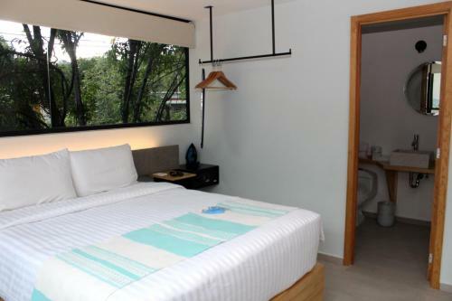 Hotel Anzures Express 158