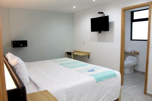 Hotel Anzures Express 158